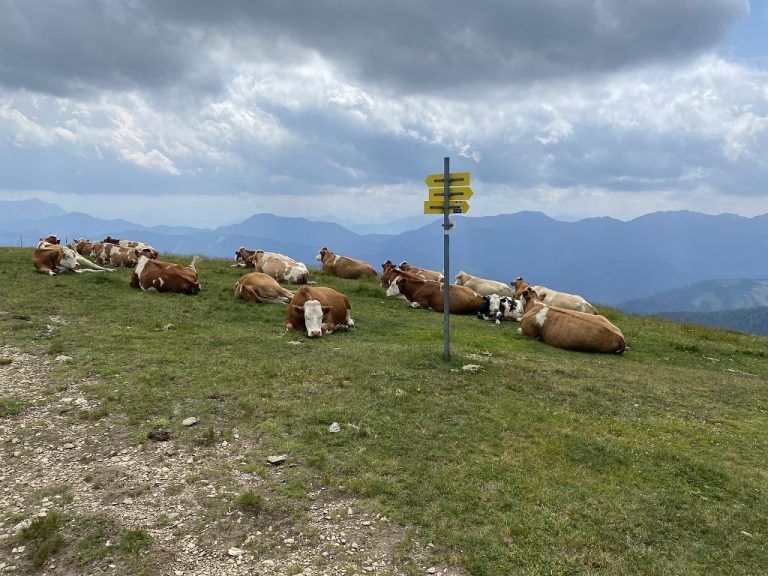 Europäischer Fernwanderweg E 10