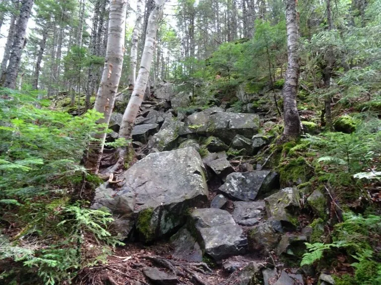 Appalachian Trail